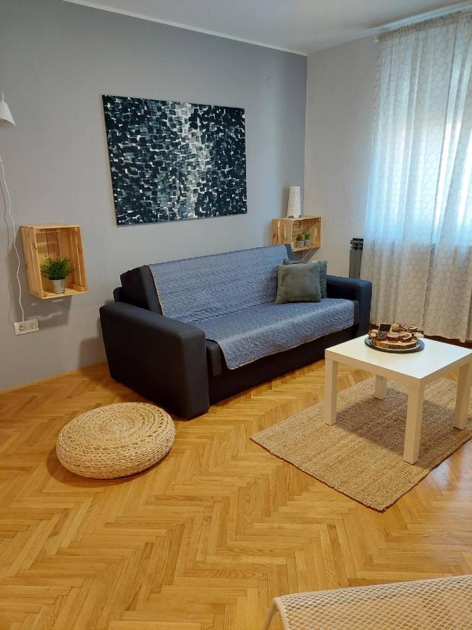 Apartman Hana Appartement Drežnik Grad Buitenkant foto
