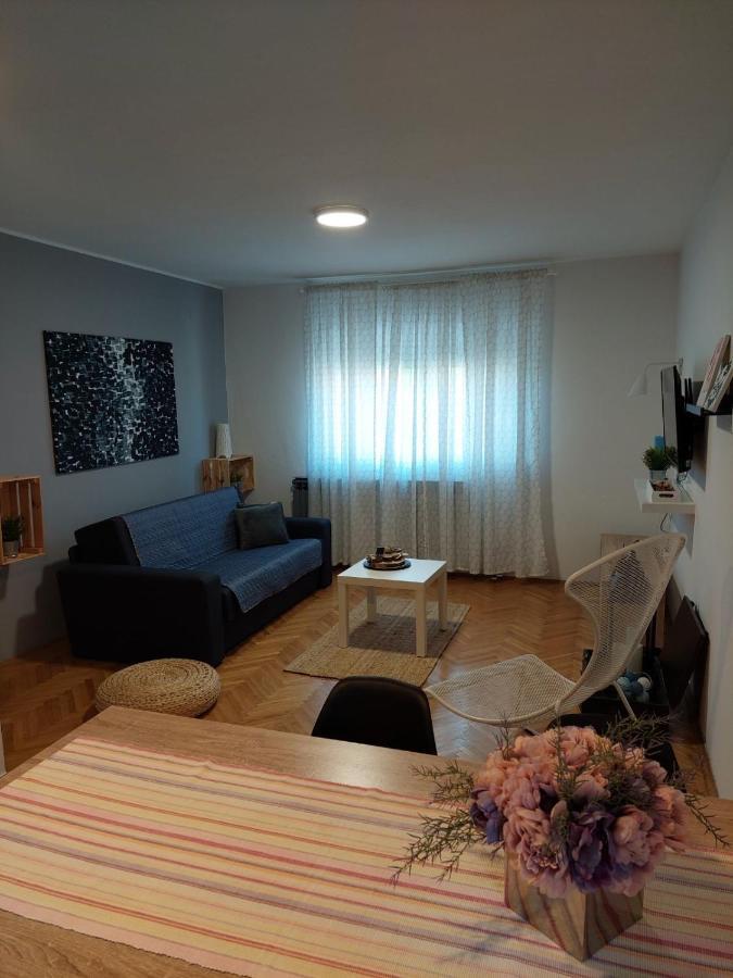 Apartman Hana Appartement Drežnik Grad Buitenkant foto
