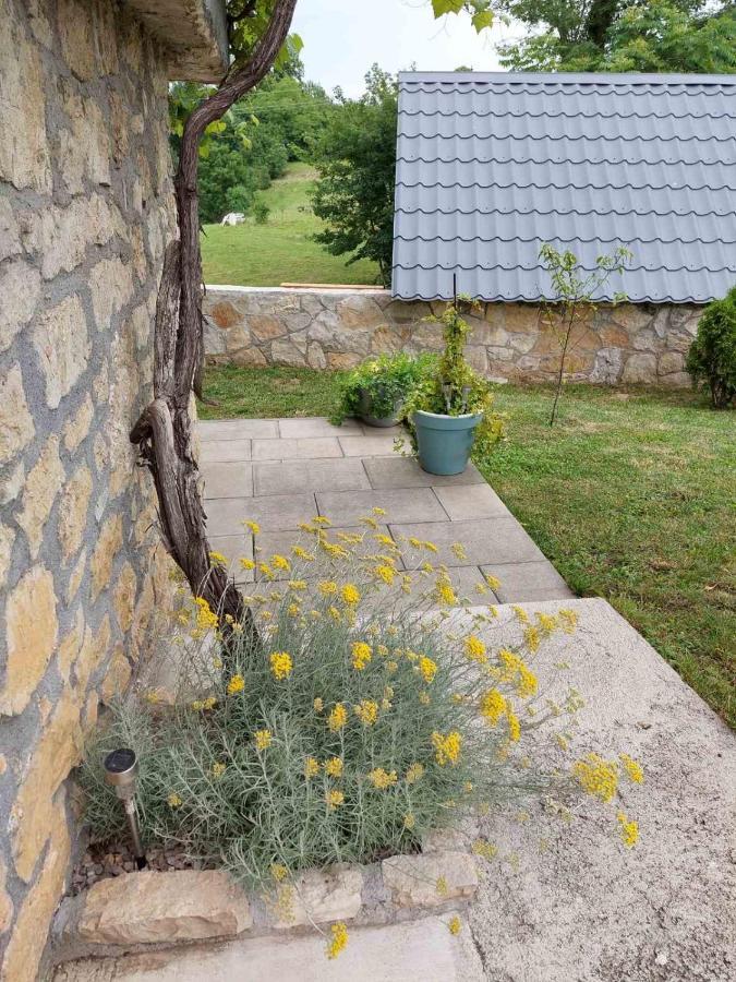 Apartman Hana Appartement Drežnik Grad Buitenkant foto