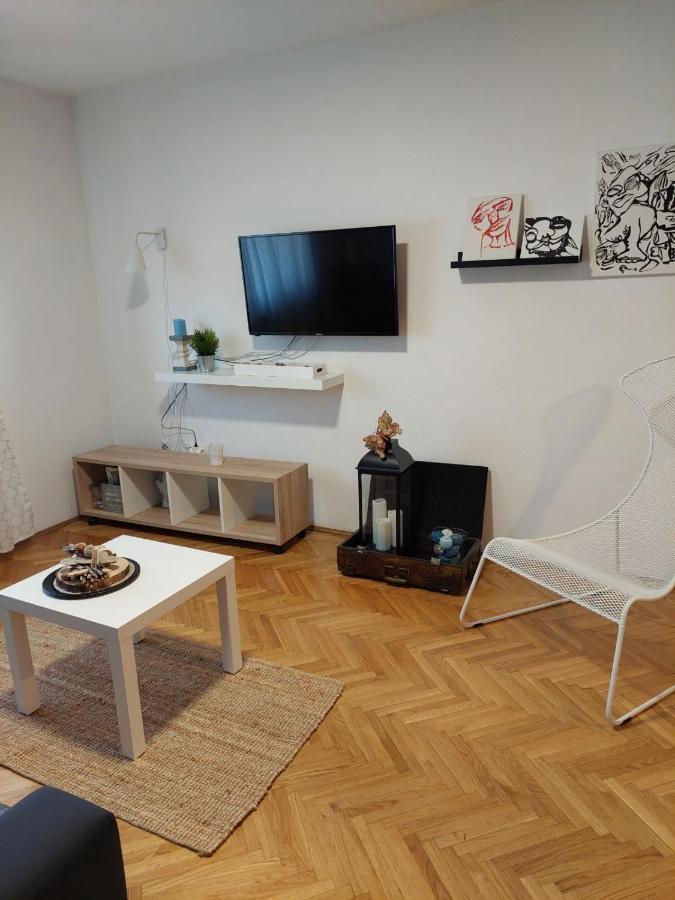 Apartman Hana Appartement Drežnik Grad Buitenkant foto