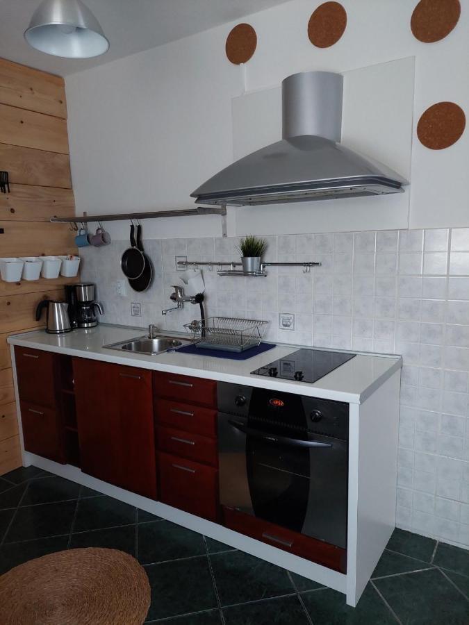 Apartman Hana Appartement Drežnik Grad Buitenkant foto