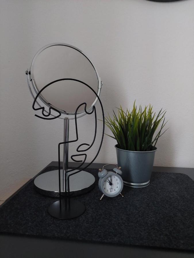 Apartman Hana Appartement Drežnik Grad Buitenkant foto