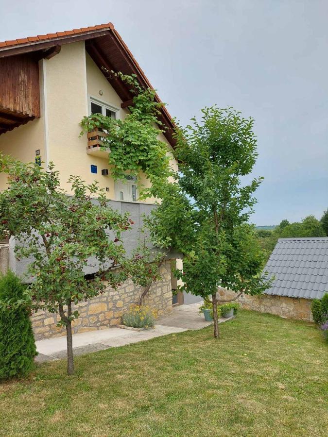 Apartman Hana Appartement Drežnik Grad Buitenkant foto
