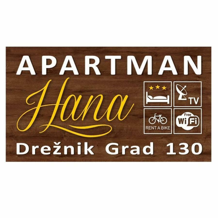 Apartman Hana Appartement Drežnik Grad Buitenkant foto